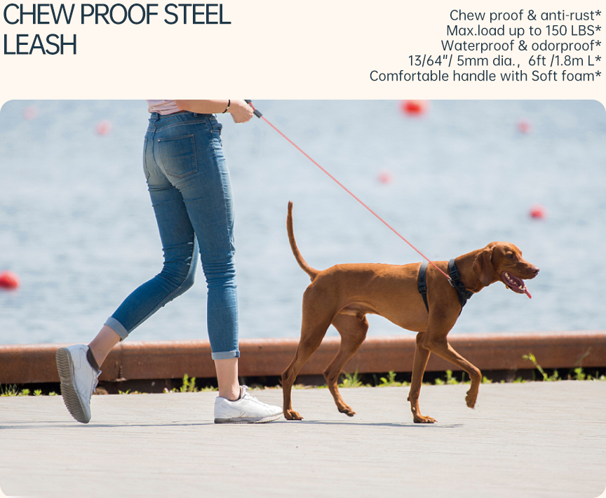 CHEW PROOF STEEL  LEASH